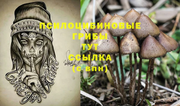 PSILOCYBIN Балабаново